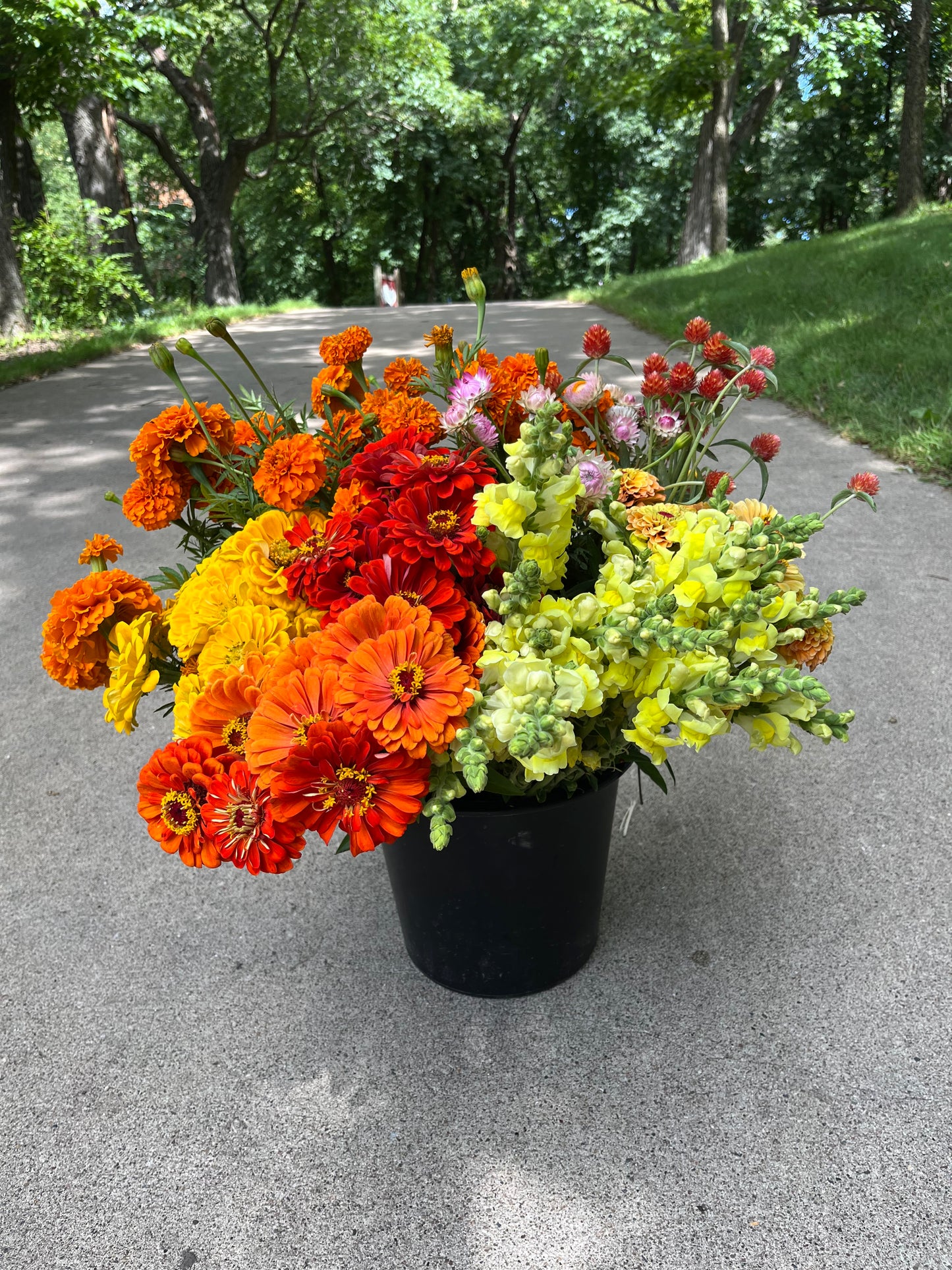 Bulk Flower Bucket - Bright
