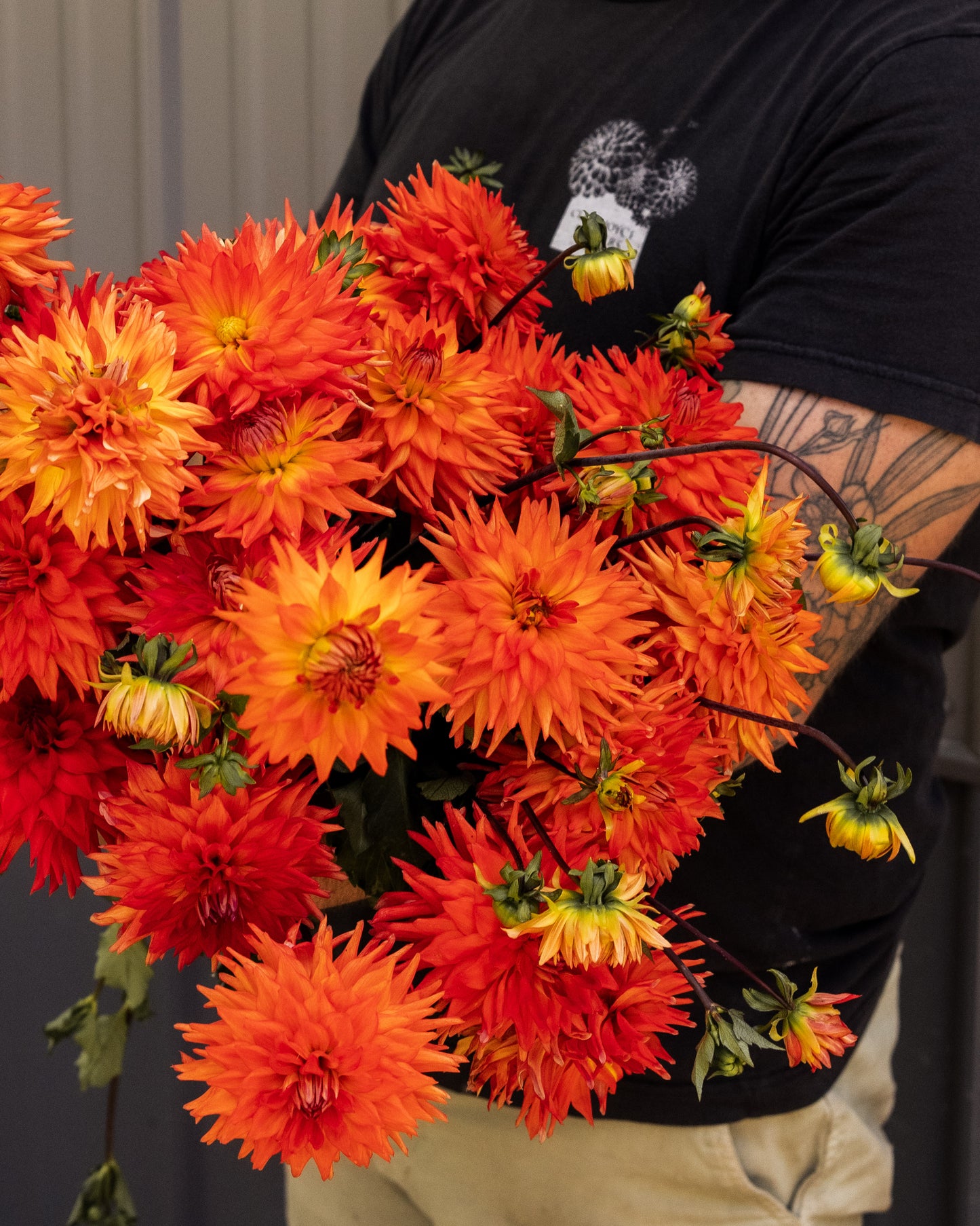 Bulk Flower Bucket - Bright
