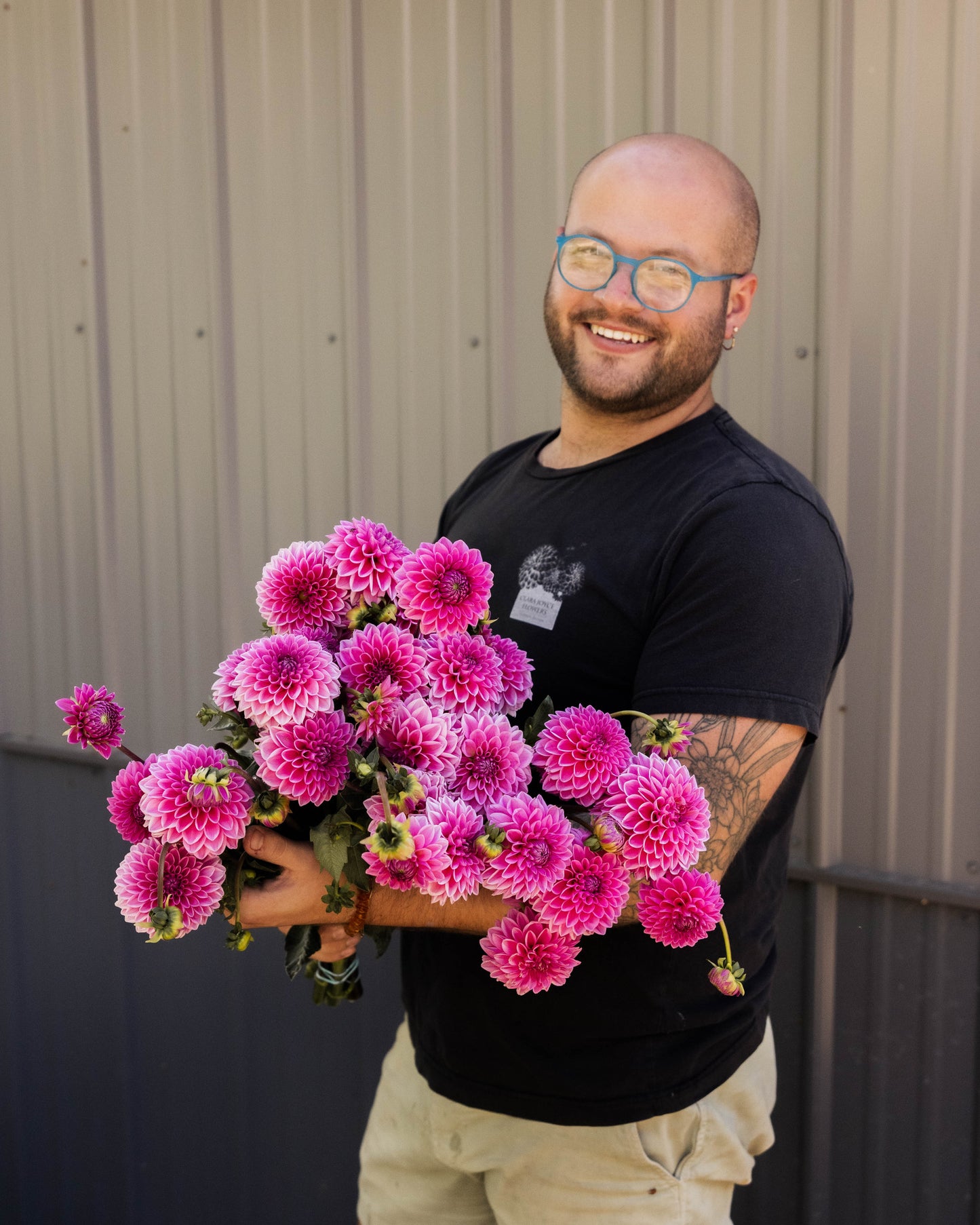 RC- Dahlia 'Pink Sylvia'  (4 pack)