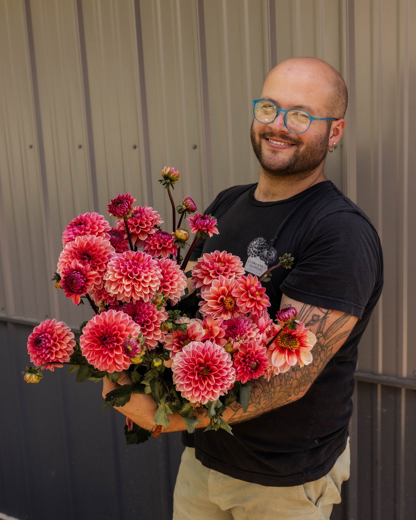 RC- Dahlia 'Daisy Duke'  (4 pack)