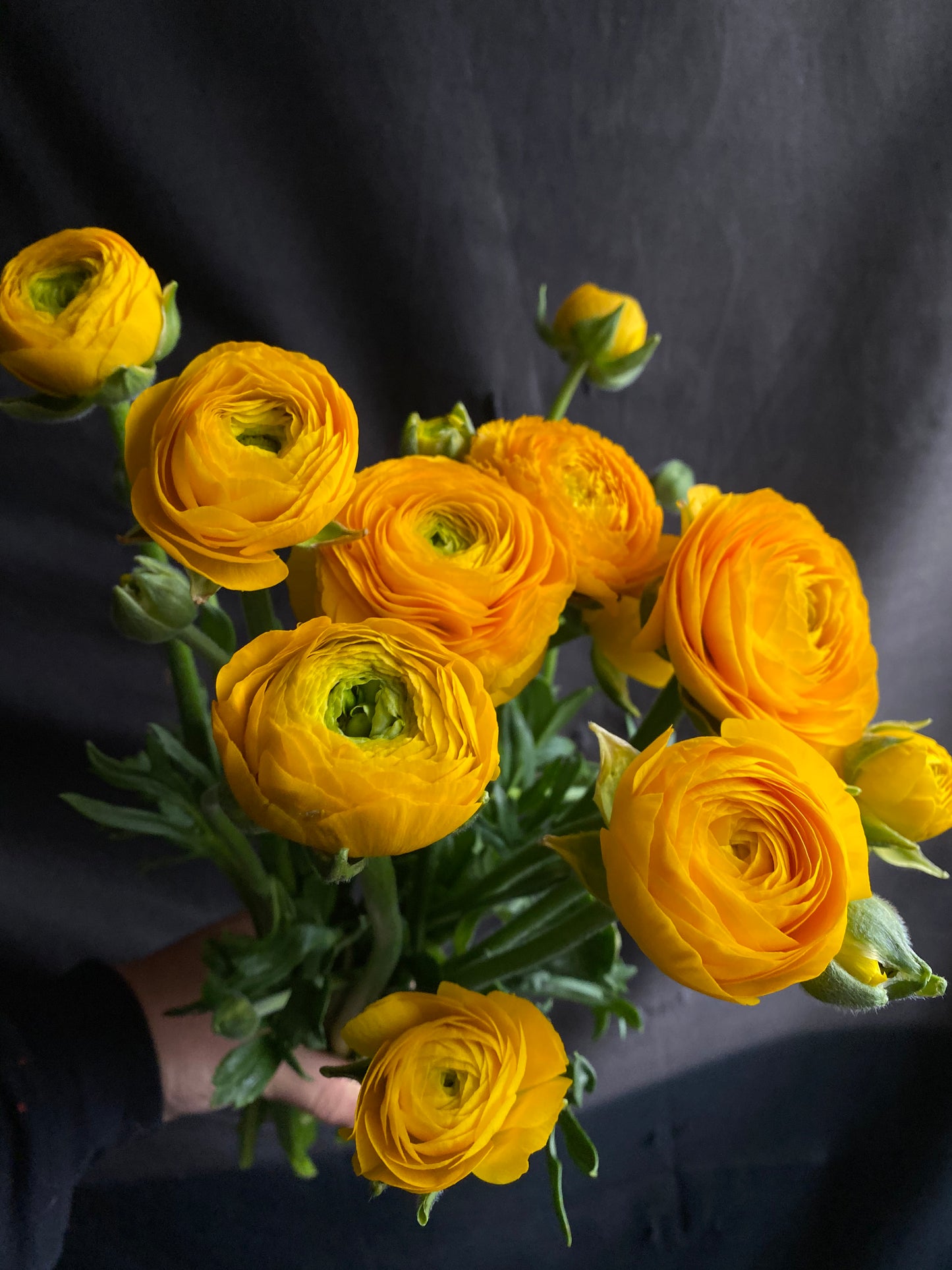 Bulk Flower Bucket - Bright
