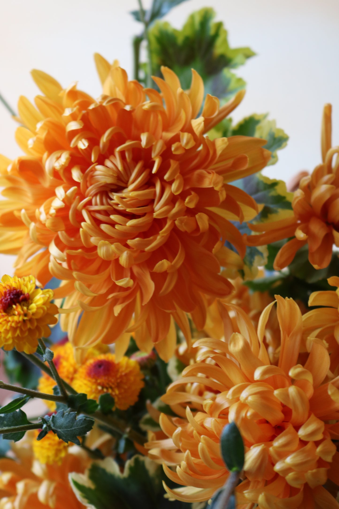 Bulk Flower Bucket - Bright