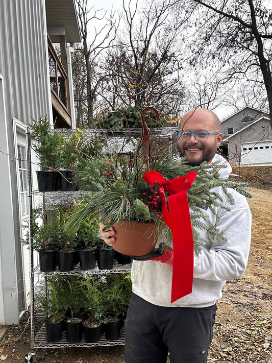 Evergreen Hanging Basket