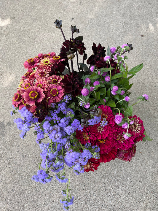 Bulk Flower Bucket - Jewel