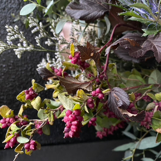 Quart - Symphoricarpos x chenaultii 'Hancock'