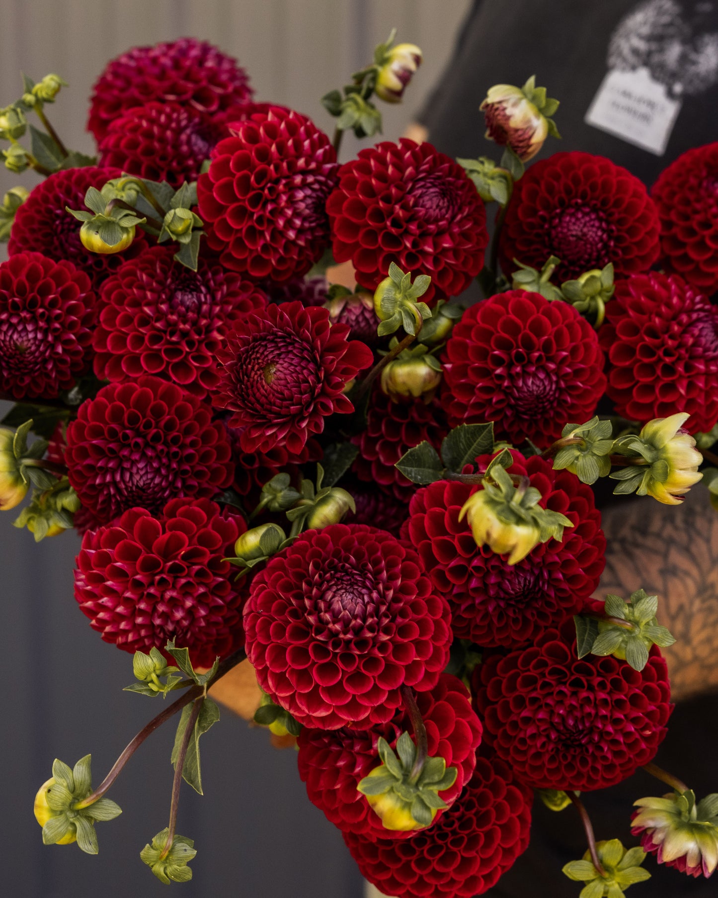Bulk Flower Bucket - Jewel