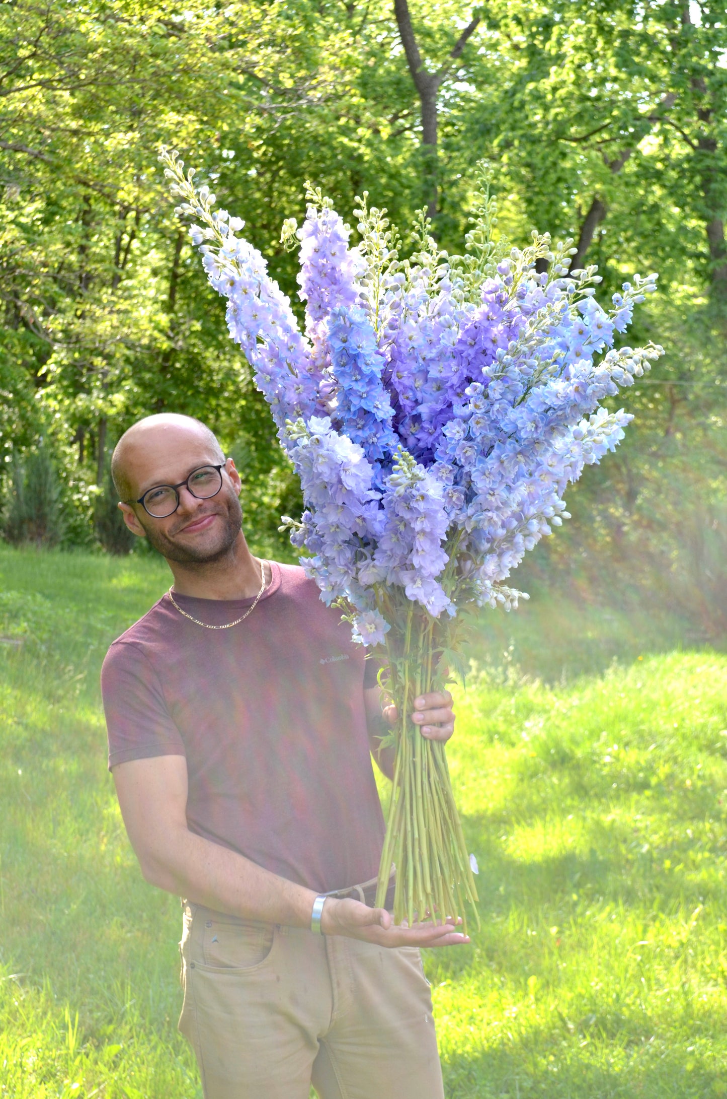 Delphinium 'Guardian Lavender'