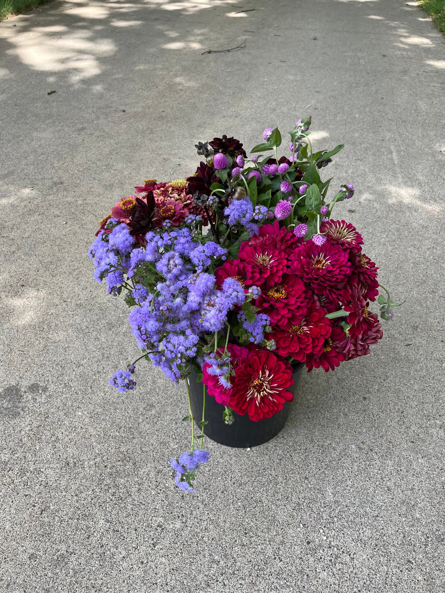 Bulk Flower Bucket - Jewel