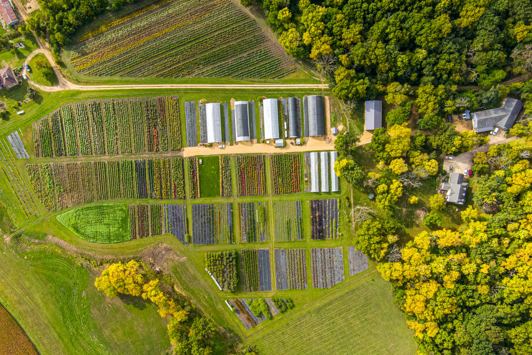 Load video: From seed to bloom, follow along with Drew and learn the story of Clara Joyce.