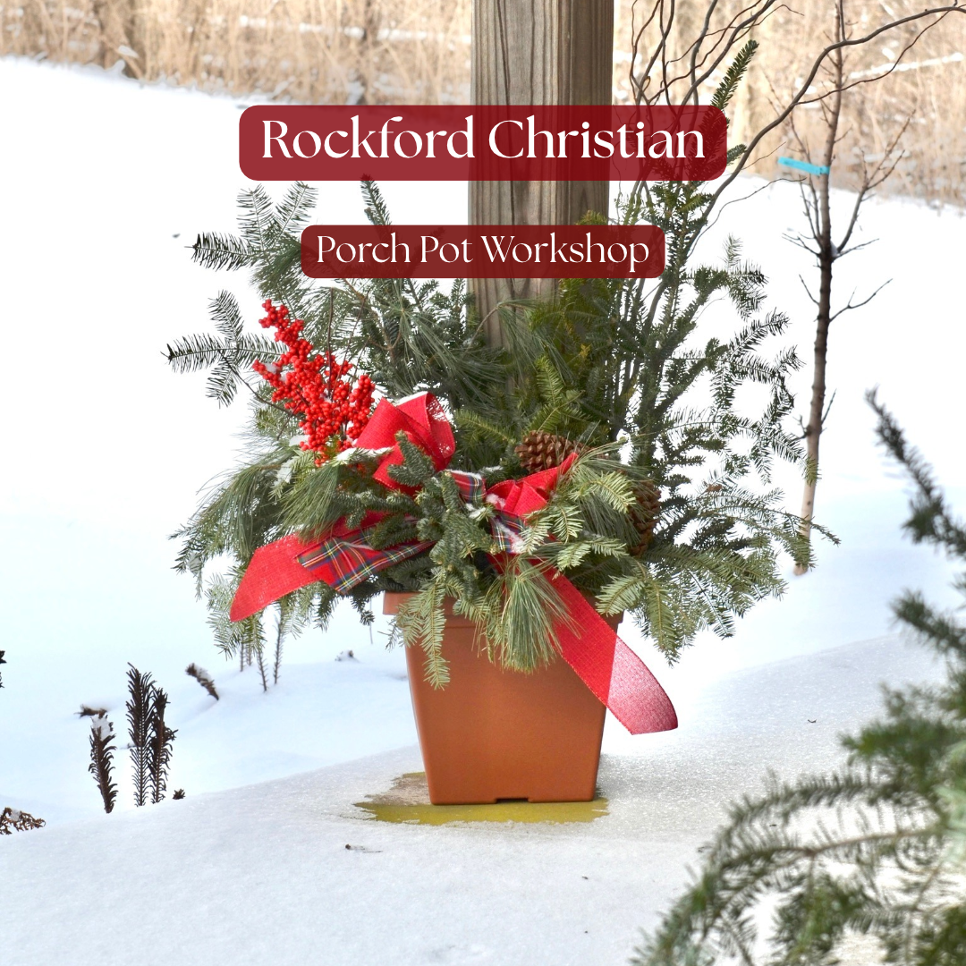 Rockford Christian Porch Pot Workshop - 11/29