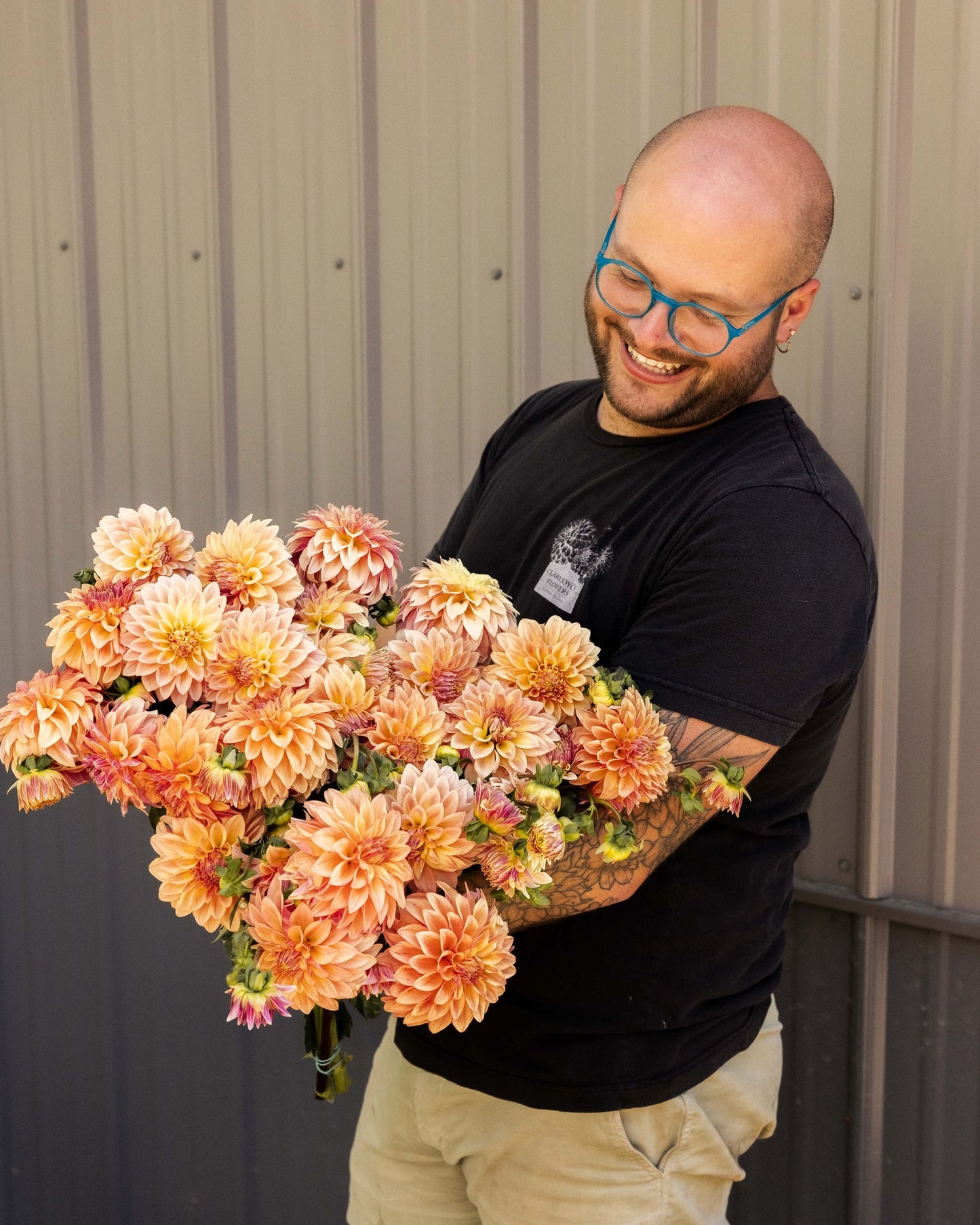 Dahlia Tuber 'Miss Amara'