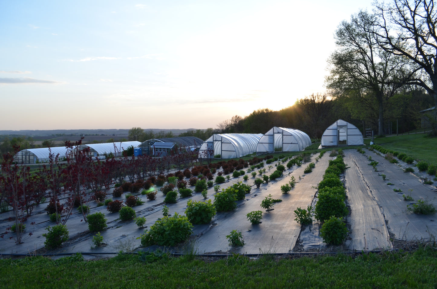 Farm Tour with Picnic
