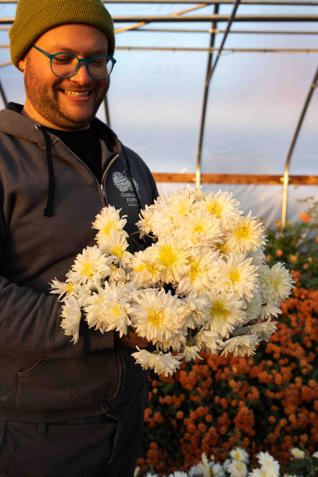 RC- Heirloom Chrysanthemum 'Seaton's Je' Dor'