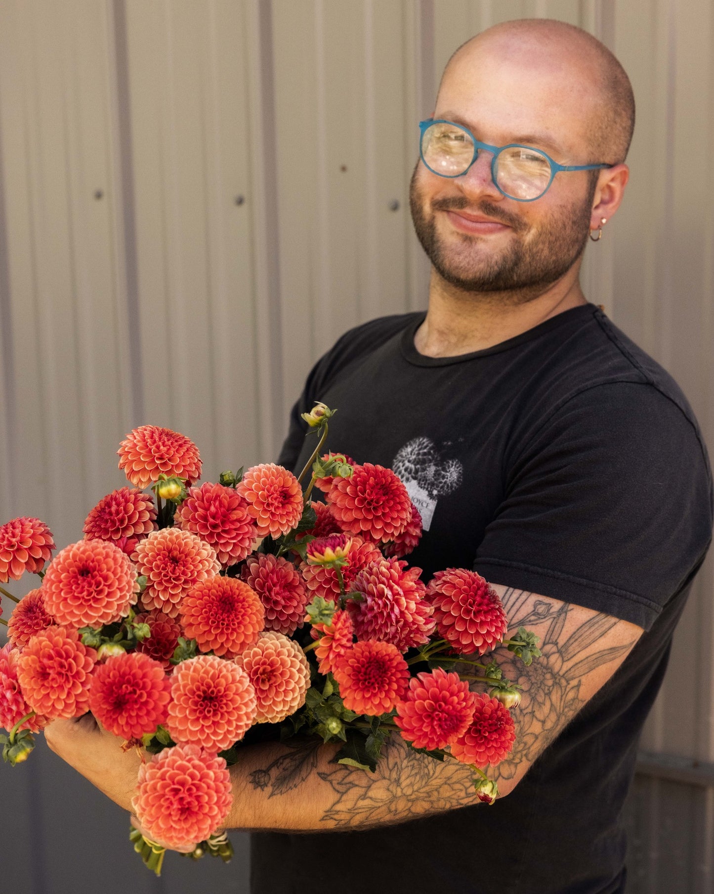 RC- Dahlia 'Valley Rust Bucket'  (4 pack)