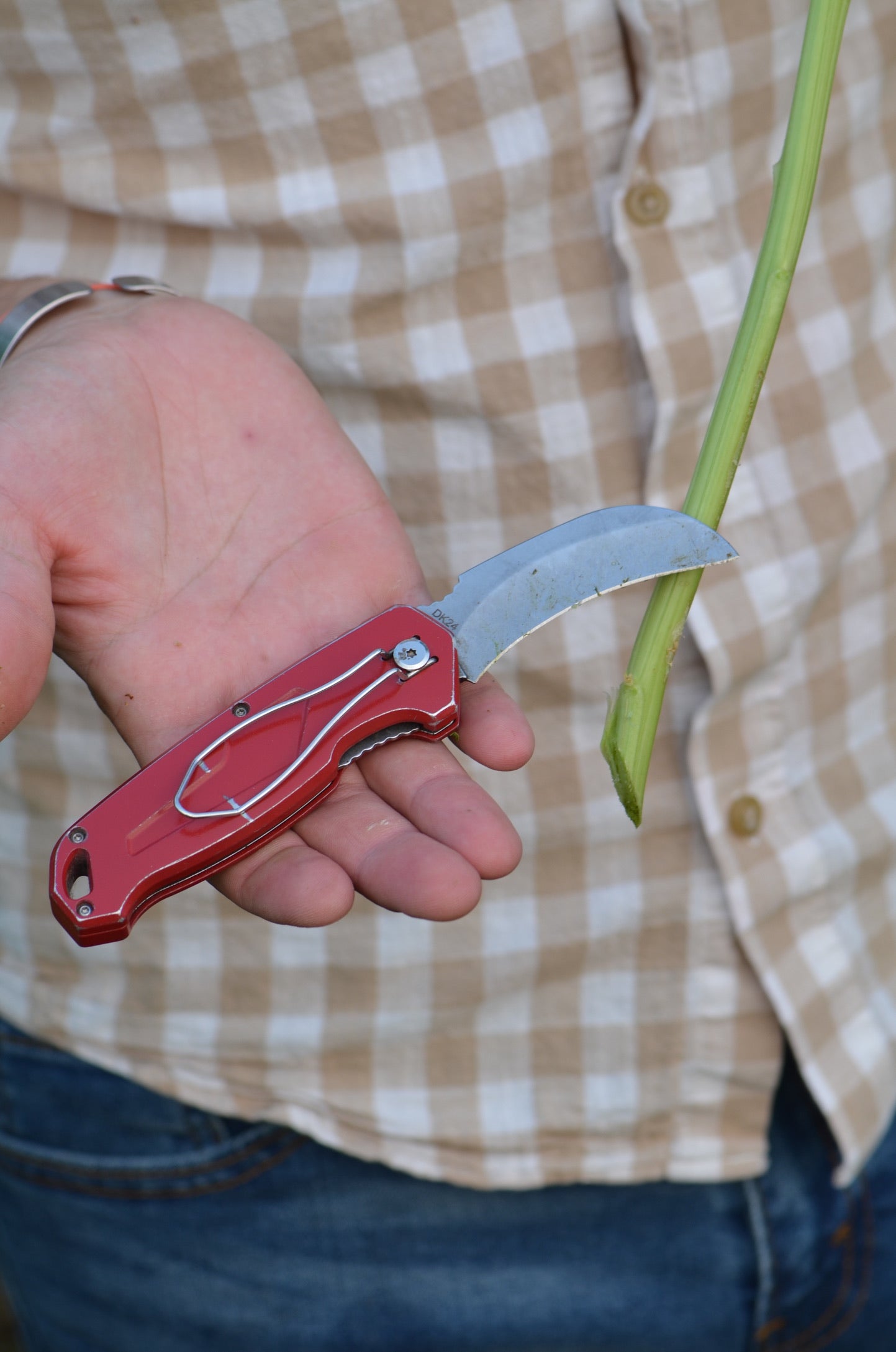 Tool - Hook Bill Utility Knife