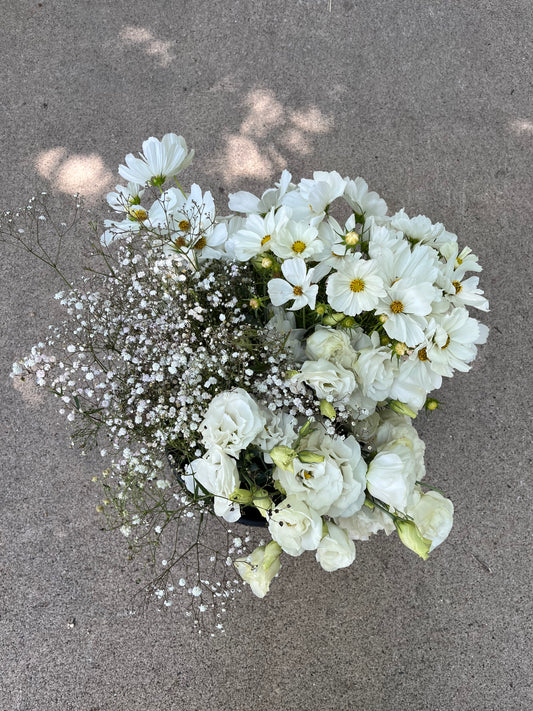 Bulk Flower Bucket - White