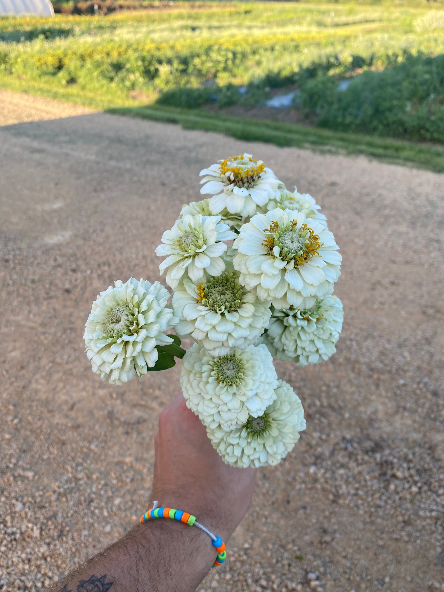 Bulk Flower Bucket - White