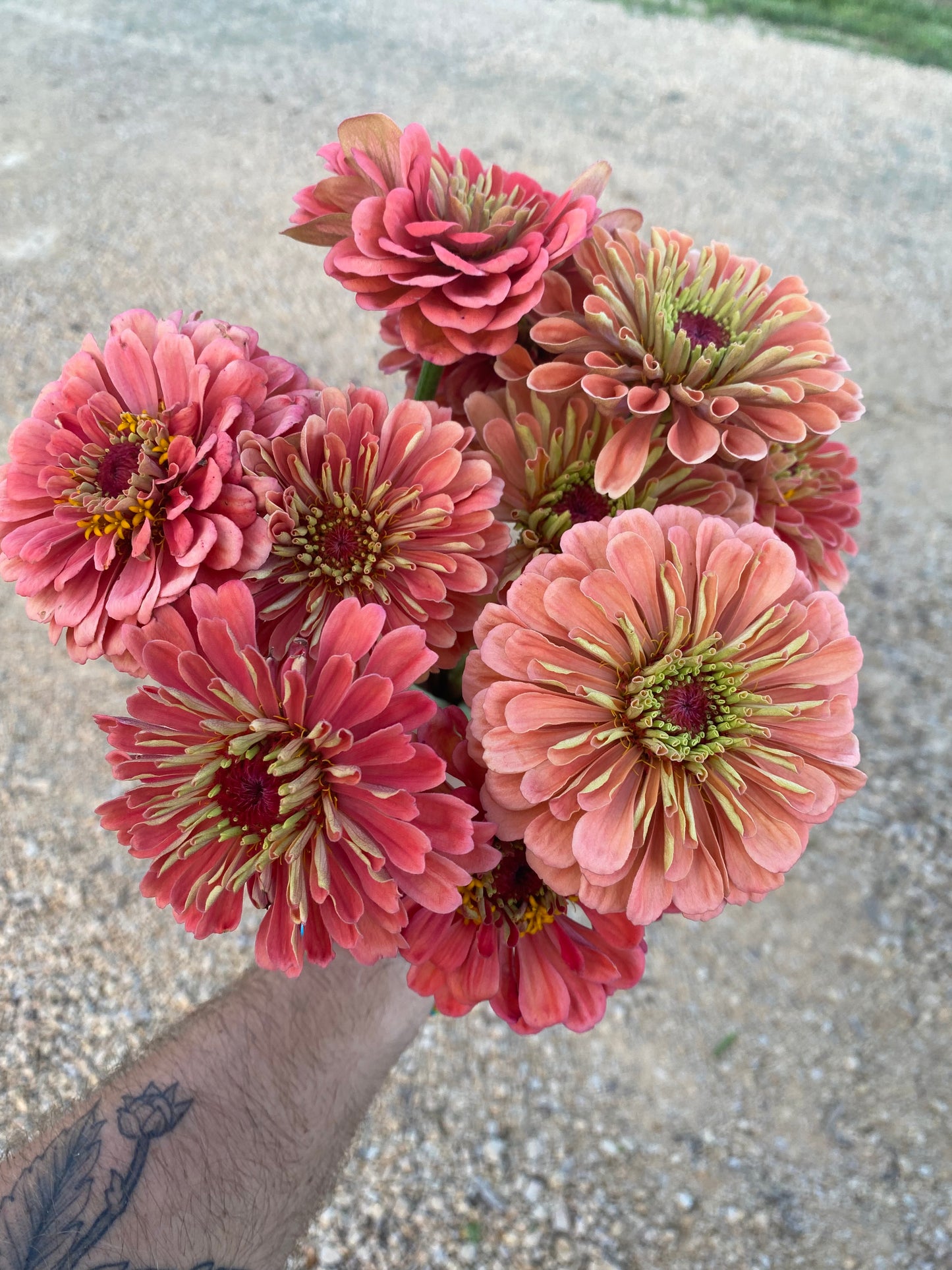 Bulk Flower Bucket - Bright