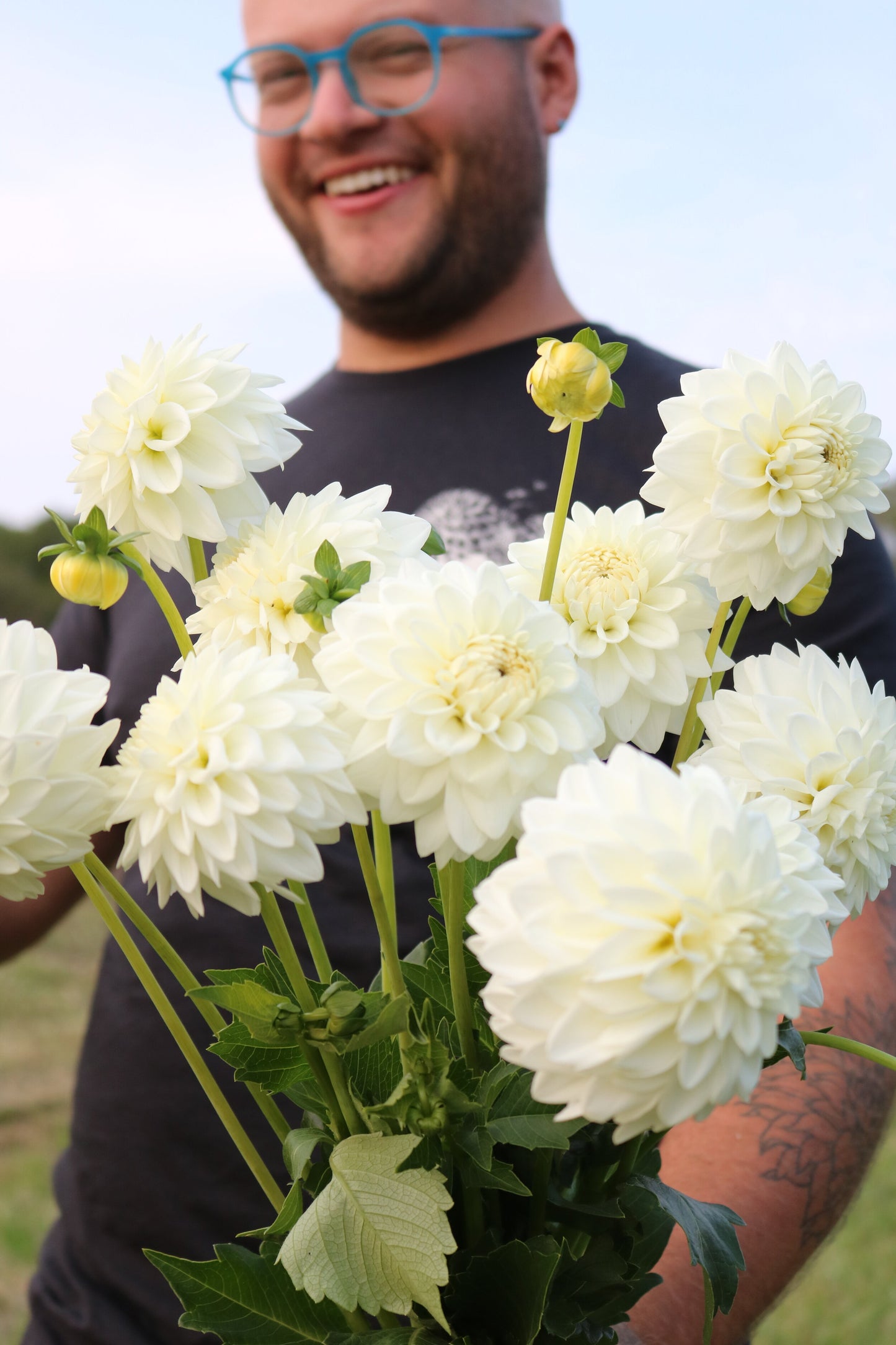 Dahlia Tuber 'Blizzard'