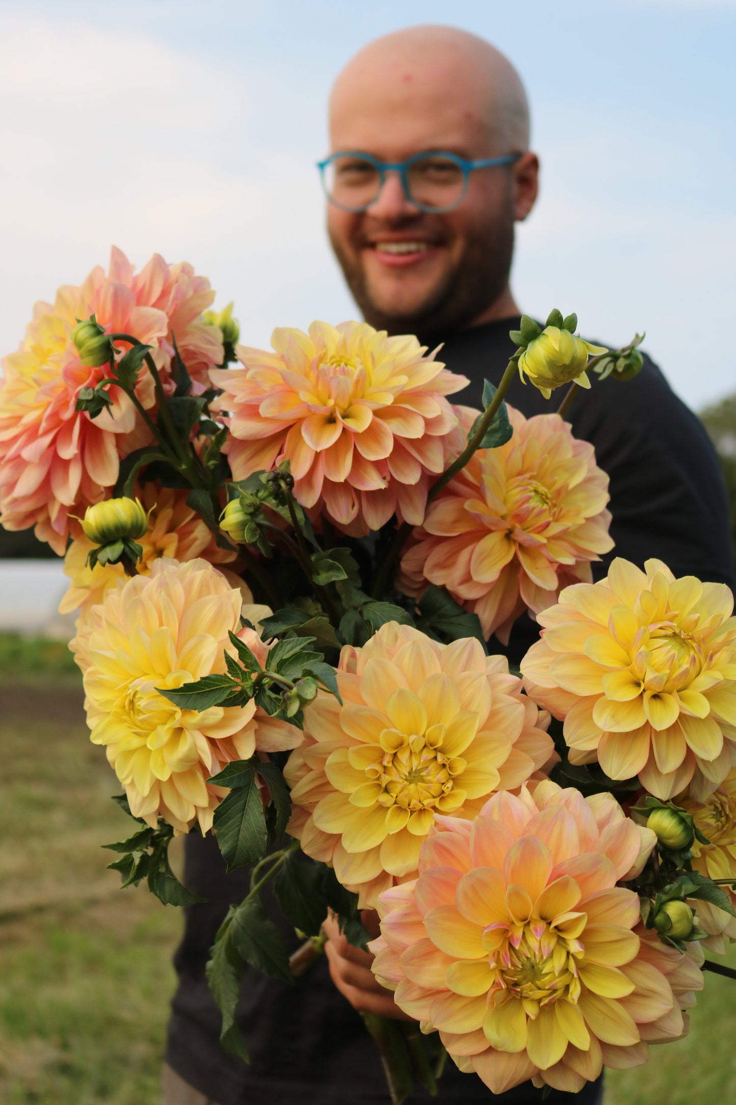 Dahlia Tuber 'Wyns NEW Pastel'