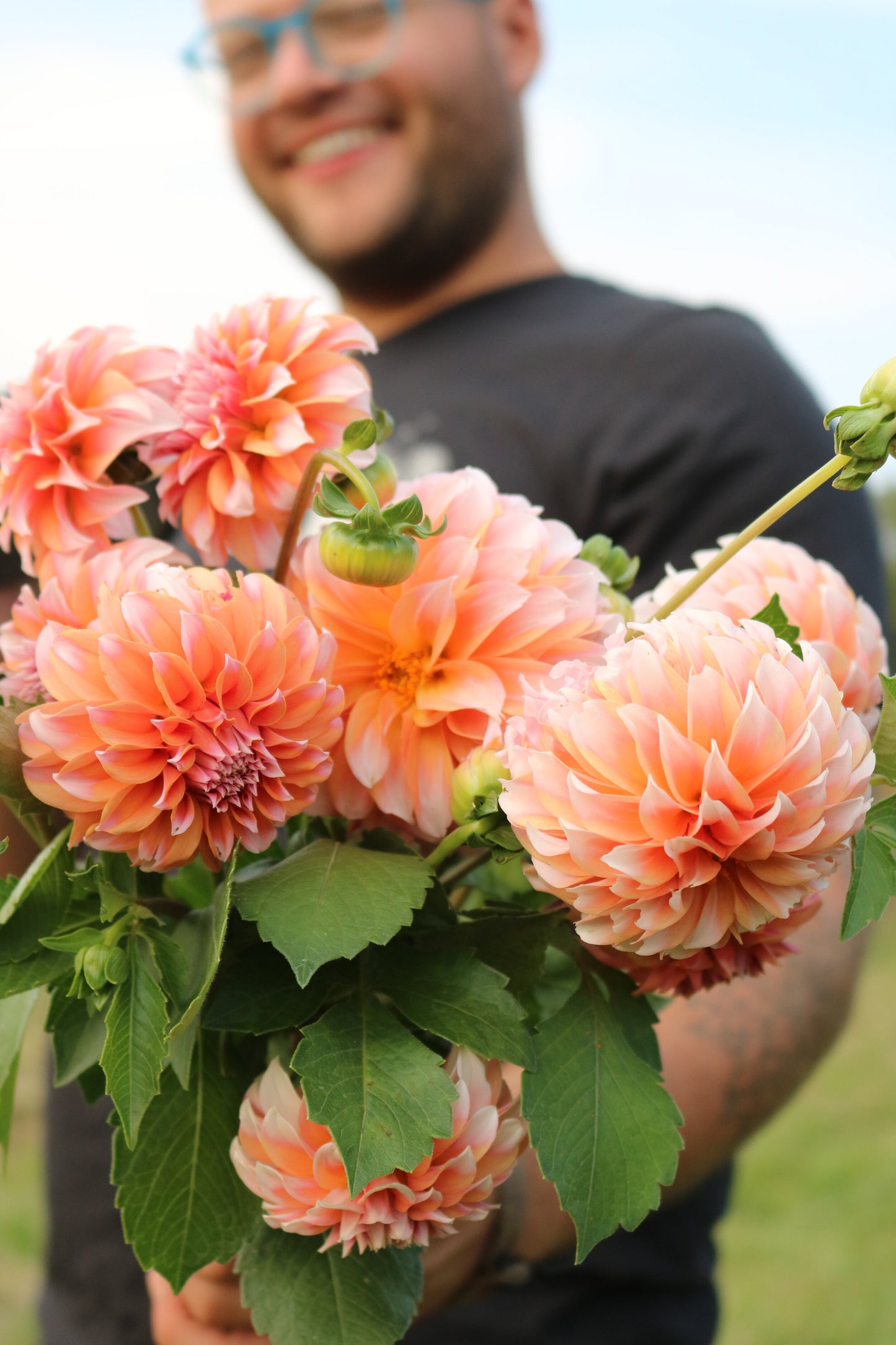 Dahlia Tuber 'Peaches N Cream'