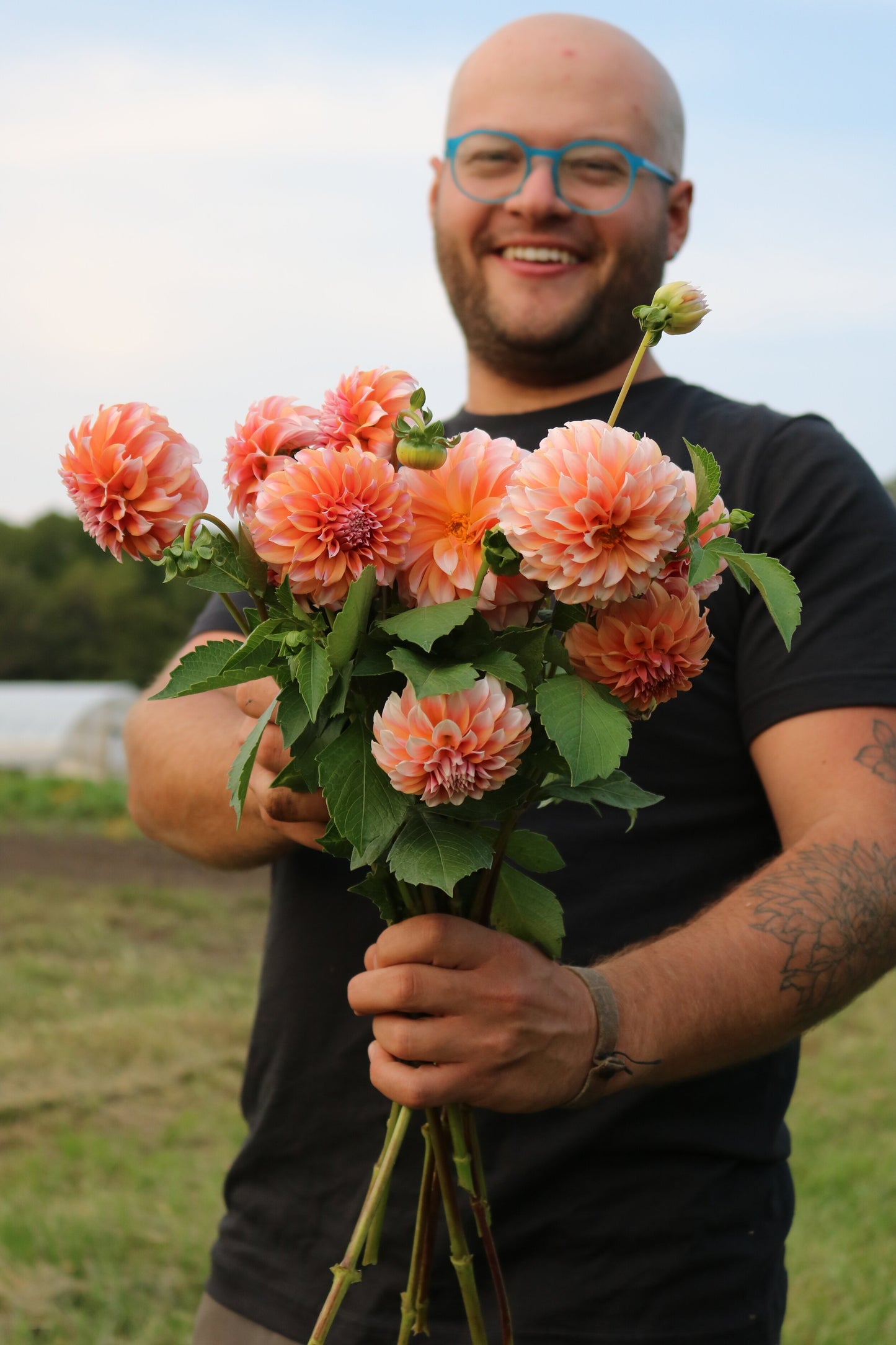 Dahlia Tuber 'Peaches N Cream'