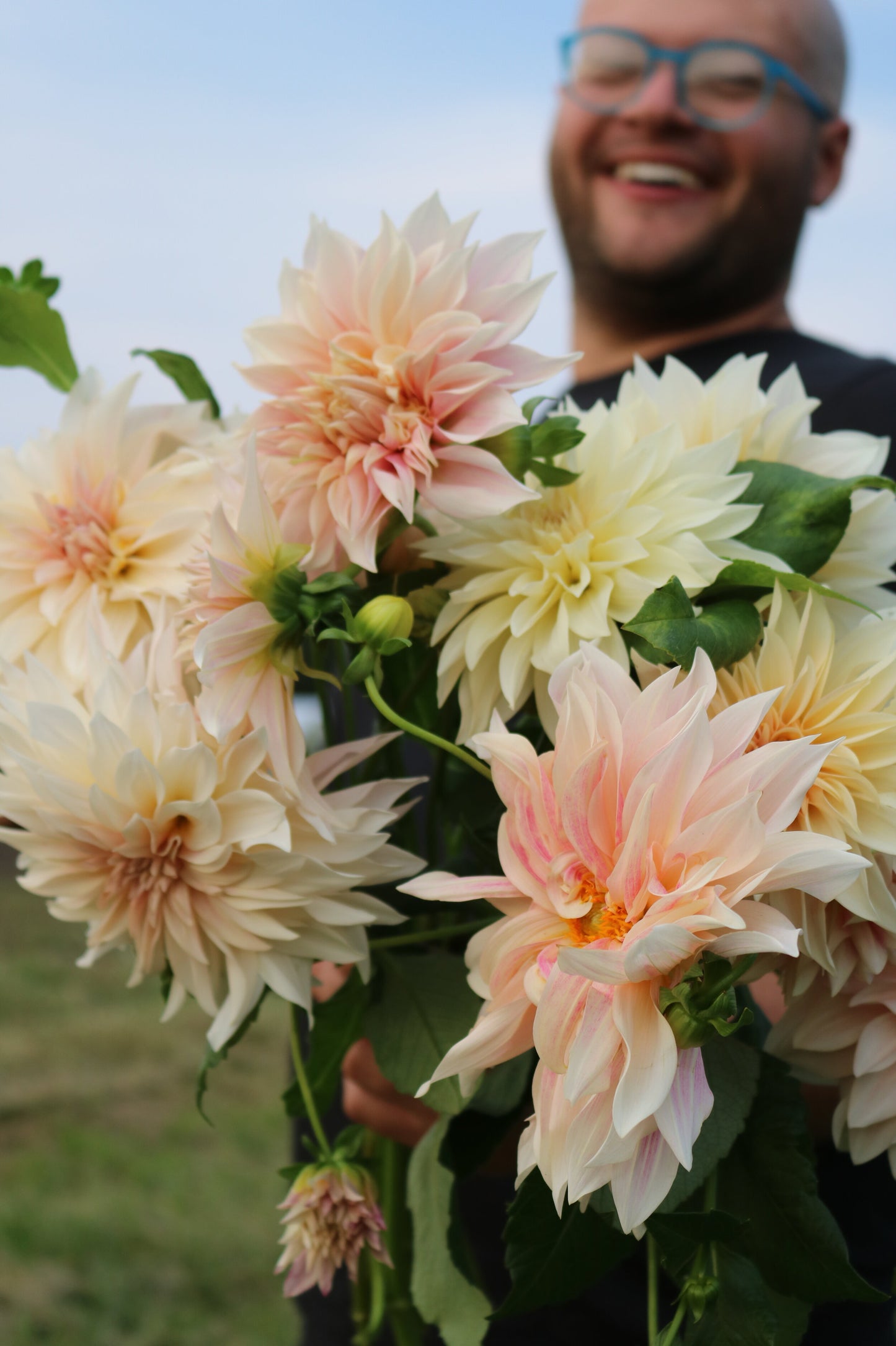 Dahlia Tuber 'Cafe au Lait'