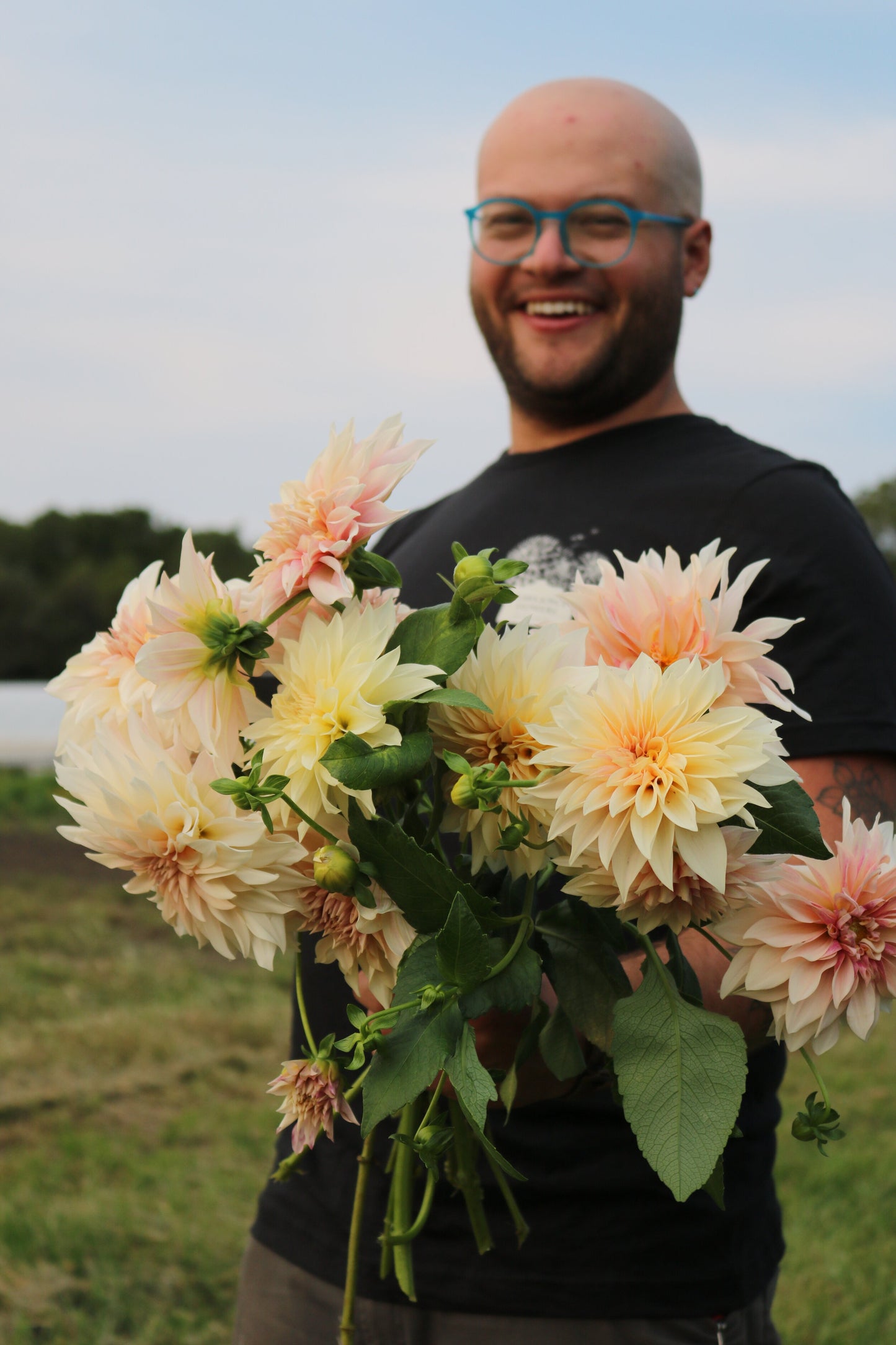 Dahlia Tuber 'Cafe au Lait'