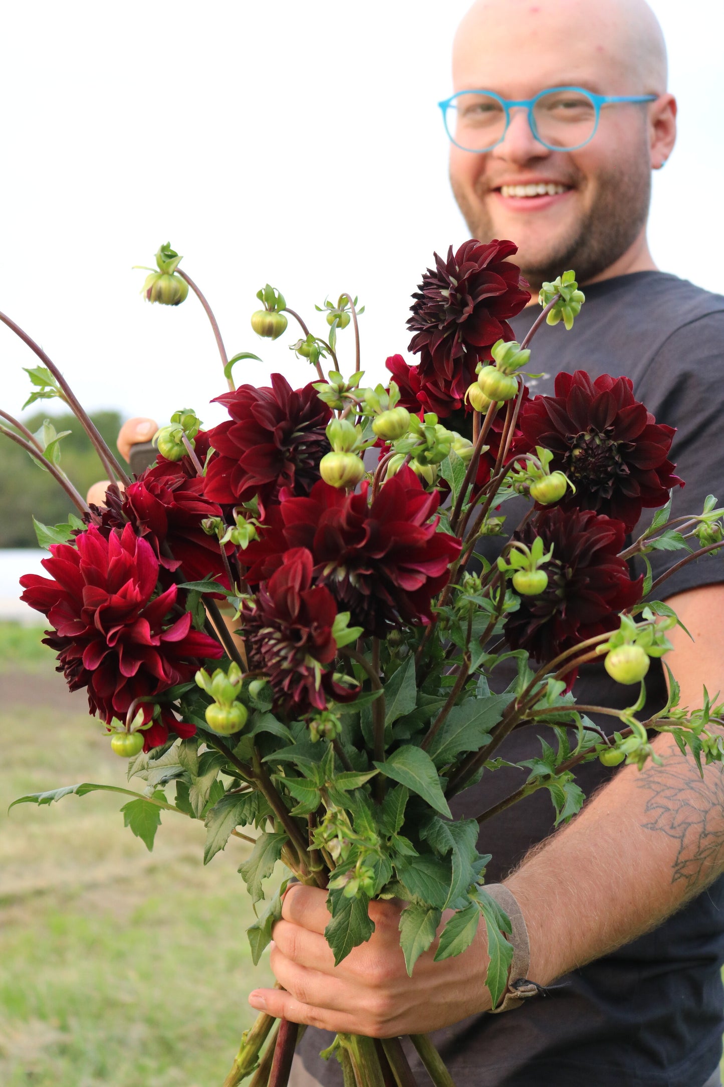 Dahlia Tuber 'Rip City'